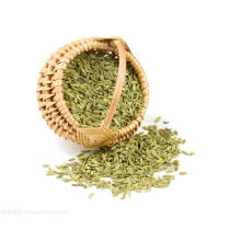 wholesale fennel high quality dried fennel